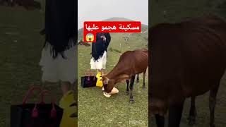 هجوم غير متوقعfood اكسبلورtravelدويتوتيكتوكfunny وصفاتlove shortsshortvideoترندtrending [upl. by Ahsiekar]