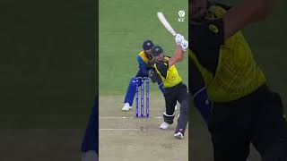 Stopping Marcus Stoinis is no easy task 😤 CricketShorts YTShorts [upl. by Sabec]