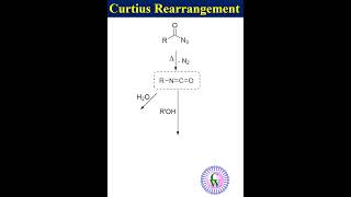 Curtius rearrangement youtube science ytshorts [upl. by Thomsen]