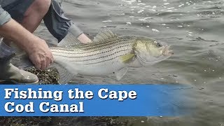 Fishing the Cape Cod Canal  S16 E4 [upl. by Aziza56]