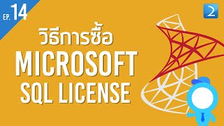 ตอนที่ 14 วิธีการซื้อ Microsoft SQL License [upl. by Fortunna]