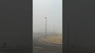 Abudhabi Fogy Day [upl. by Gnus525]