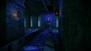 Arcane sanctum  Free animated motion background  Fantasy scenery animation [upl. by Vincenty]