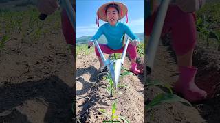 Amazing Seedling Planting Tool for Rural Farmer  Modern Agriculture shorts tool youtubeshorts [upl. by Lyrahc]