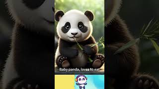 Baby Panda kids song visit my channel for full version kidssong babypanda panda [upl. by Ewnihc809]