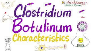 Clostridium botulinum Toxin Botox  Characteristics  Microbiology 🧫 amp Infectious Diseases 🦠 [upl. by Arrimat]