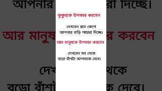 Islamic story Bangla motivated allah  sorts  you tube sorts [upl. by Kikelia]