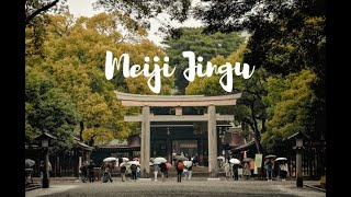 Tokyo  Meiji Jingu [upl. by Aennaej866]