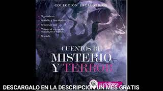 Cuentos de Misterio y TerroraudiolibroAlejandro Dumas [upl. by Koeppel370]