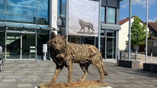 Rundgang durch die Ausstellung von Jürgen Lingl  HolzBronzePapier in Sulzemoos [upl. by Adel]