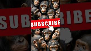 The Origins and Evolution of Homo Sapiens HomoSapiens history shorts [upl. by Arrotal]