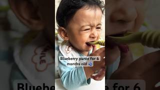 Blueberry purée for 6 months old🫐firstfood startingsolids babyfood 6monthsold blueberry blw [upl. by Edris]