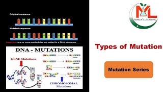 Types of mutation  Types of DNA mutations Mutation types  Different types of mutation [upl. by Otaner]