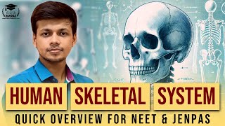 Human Skeletal System  Quick Overview for NEET amp JENPAS  Mams [upl. by Assirek781]