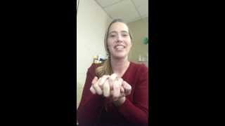 Rock Cycle Hand Motions Review [upl. by Eduj]