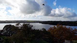 Rivington Reservoir [upl. by Hcurob89]