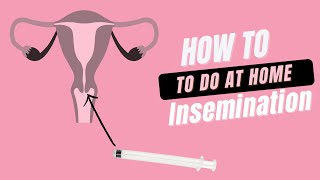 How to perform At Home Insemination [upl. by Donald]