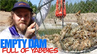 My BIGGEST Haul of Yabbies  EMPTY Dam Full of Yabbies [upl. by Akelam]