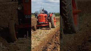 Nuffield Universal DM4 Tractor at Lutterworth Ploughing Practice Day 14th April 2024 [upl. by Apostles]