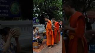 Alms Giving Ceremony Luang Prabang Laos 🇱🇦 laos travel culture buddhism [upl. by Rego]