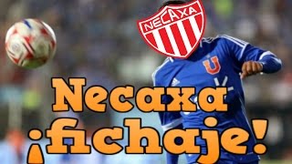 ¡NECAXA TENDRIA A SU PRIMER FICHAJE AMARRADO FUTBOL DE ESTUFASLIGA MX [upl. by Eiramnna]