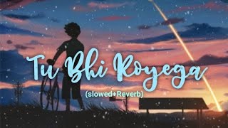 tu bhi royega slowedReverb slowedandreverb credit by Vivek kar please subscribe Aeon36289 [upl. by Kcirdet]