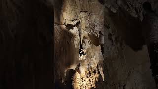 Carlsbad caverns vanlifetravelcarlsbad [upl. by Beka501]