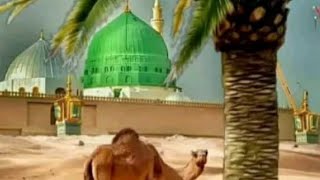 Hazart Muhammad SAW Ka safer e taif  taif ziyarat  seerat un Nabi [upl. by Gad]