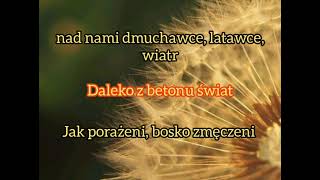 Urszula  Dmuchawce latawce wiatr tekst [upl. by Beaston619]