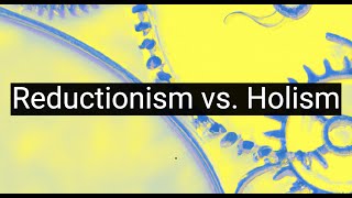 Reductionism vs Holism Battle of Philosophical Methodologies [upl. by Suedama612]