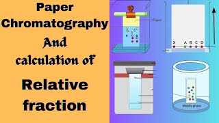 Chromatography and determination of Relative fraction value Biochemistry practical exam [upl. by Pegma]