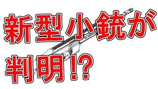 19式⁉自衛隊の新型小銃の詳細が判明した件【実銃解説】NHG [upl. by Aelyk]