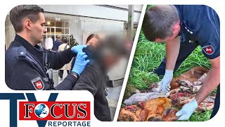 Von Verbrecherjagd bis Wildunfall Polizeieinsätze in Stadt amp Land  Focus TV Reportage [upl. by Vladamar]