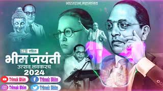 new Jay bhim song lay bal aal mazya dublya porat dj song [upl. by Yuji]