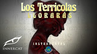 Los Terricolas  Llorarás Instrumental Cover Video [upl. by Elyod436]