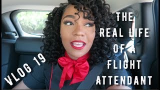 The quotReal Lifequot of a Flight Attendant  Vlog 19  3 DAYS TOO LONG [upl. by Yevol]