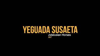 Siete de Susaeta  Spanish stallion  5 year´s old Test  Dressage horses [upl. by Yhtomot]