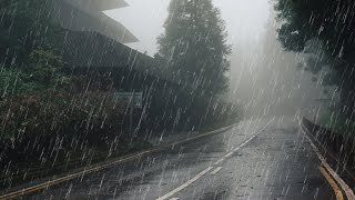 Maravilloso Sonido de Lluvia para Dormir Relajante Estudio Meditación  Lluvia en Bosque Brumoso [upl. by Ynnavoeg]