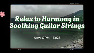 Hickory Hollow  Relax to Harmony in Soothing Guitar Strings  Ep25 [upl. by Ensoll453]