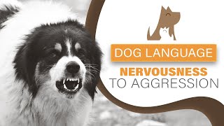 Understanding Dog Language  Nervous to Aggressive Behaviour [upl. by Heda]