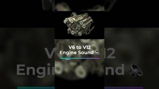 From V6 to V12 They all roar differently 🔈 [upl. by Archangel]