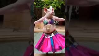 Belly danceshortvideo trading songhindi shortvideo viral hindi hindisong [upl. by Femi]