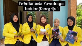 PRAKTIKUM  PERTUMBUHAN DAN PERKEMBANGAN TUMBUHAN KACANG HIJAU UPBJJ JEMBER [upl. by Descombes497]