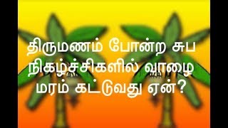 திருமணம் போன்ற சுப நிகழ்ச்சிகளில் வாழை மரம் கட்டுவதன் காரணம் [upl. by Amol]