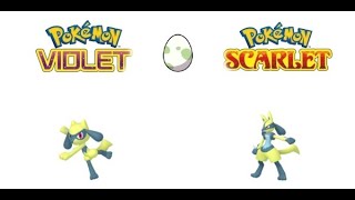 Pokemon Scarlet  Violet Shiny Riolu Eggs Giveaway  Reparto [upl. by Delahk]