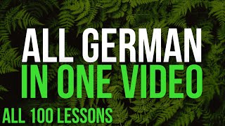 All German in One video All 100 Lessons Learn German  Most important German phrases and words [upl. by Johna795]