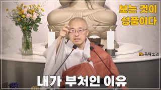 돈오107 내가 부처인 이유 보는 것이 본성이다 이 하나에서 일체가 나왔다 [upl. by Wey]