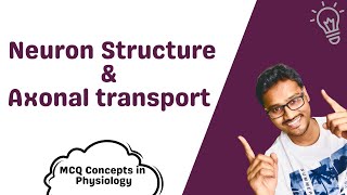 Neuron Structure and Axonal transport  MCQ concepts [upl. by Aimac]