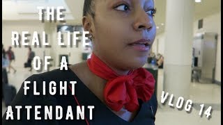 The quotReal Lifequot of a Flight Attendant  Vlog 14  4 DAY TRIP [upl. by Nnairrek605]