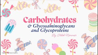 Introduction to Carbohydrates Glycosaminoglycans and Glycoproteins  Talah Nammor  MOL 114 [upl. by Attenor979]